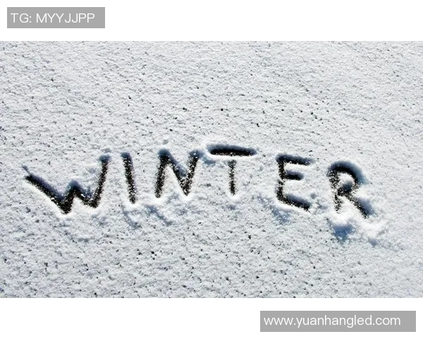 全球黑白色足球明星的传奇故事与辉煌成就解析